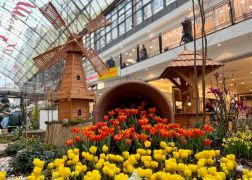 Fruehling In Jenas Goethe Galerie 2024 01